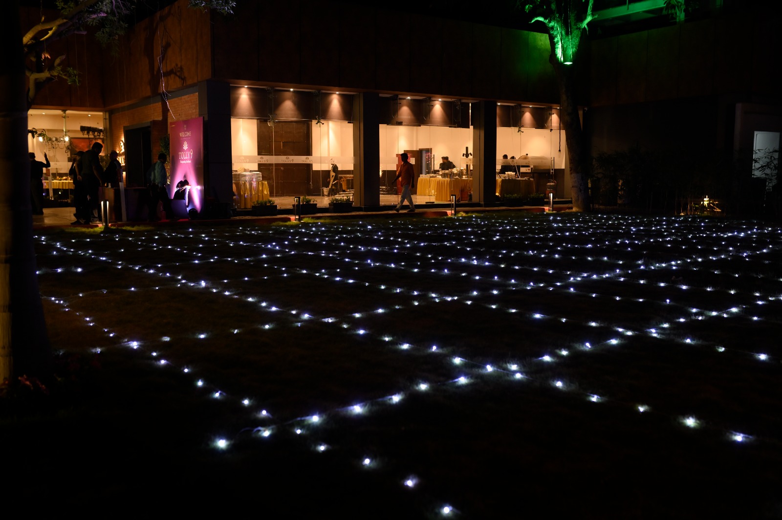 Tolly9 Launch Program